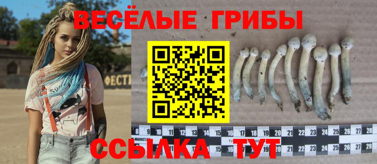 Псилоцибиновые грибы мухоморы Махачкала