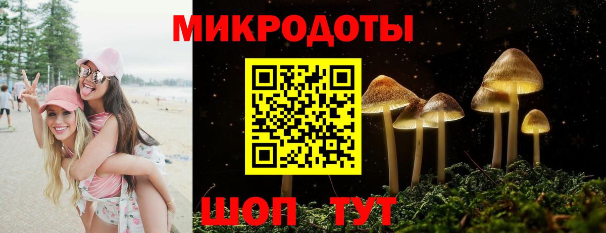 Псилоцибиновые грибы ЛСД  Псилоцибиновые грибы MAGIC MUSHROOMS  Махачкала  Вход с VPN 